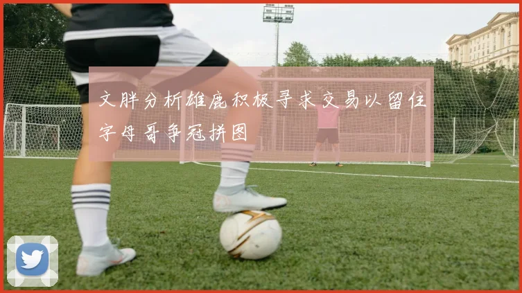 文胖分析雄鹿积极寻求交易以留住字母哥争冠拼图